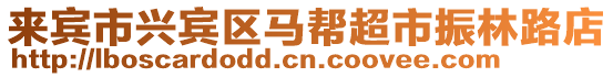 來賓市興賓區(qū)馬幫超市振林路店