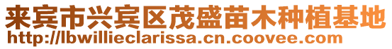 來(lái)賓市興賓區(qū)茂盛苗木種植基地