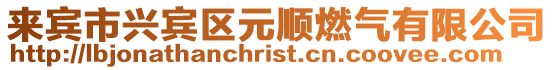 來賓市興賓區元順燃氣有限公司