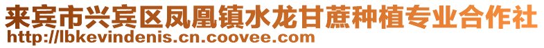來賓市興賓區鳳凰鎮水龍甘蔗種植專業合作社