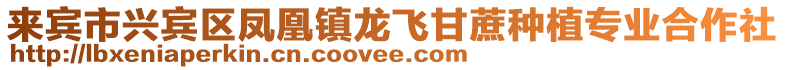 來賓市興賓區鳳凰鎮龍飛甘蔗種植專業合作社