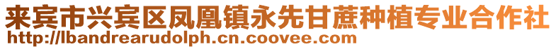 來賓市興賓區(qū)鳳凰鎮(zhèn)永先甘蔗種植專業(yè)合作社