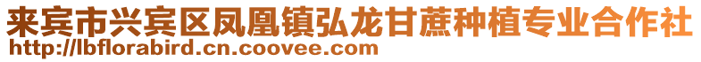 來賓市興賓區鳳凰鎮弘龍甘蔗種植專業合作社