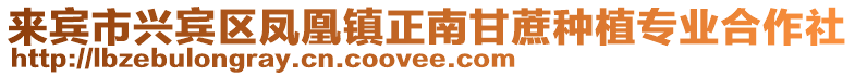 來賓市興賓區(qū)鳳凰鎮(zhèn)正南甘蔗種植專業(yè)合作社