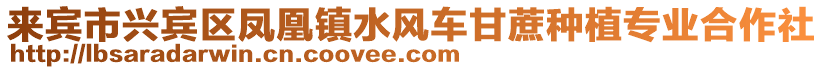 來賓市興賓區鳳凰鎮水風車甘蔗種植專業合作社