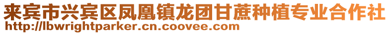 來賓市興賓區鳳凰鎮龍團甘蔗種植專業合作社