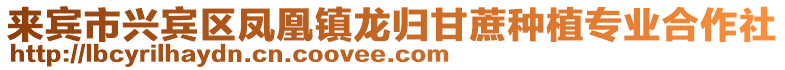 來賓市興賓區(qū)鳳凰鎮(zhèn)龍歸甘蔗種植專業(yè)合作社