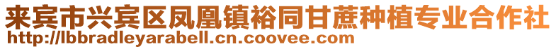 來(lái)賓市興賓區(qū)鳳凰鎮(zhèn)裕同甘蔗種植專業(yè)合作社