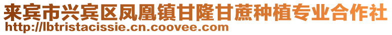 來賓市興賓區鳳凰鎮甘隆甘蔗種植專業合作社