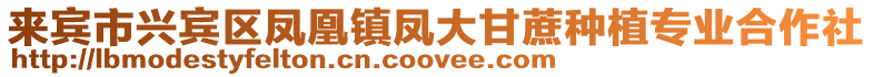 來賓市興賓區鳳凰鎮鳳大甘蔗種植專業合作社