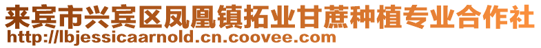 來賓市興賓區鳳凰鎮拓業甘蔗種植專業合作社