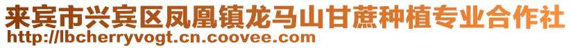 來賓市興賓區鳳凰鎮龍馬山甘蔗種植專業合作社