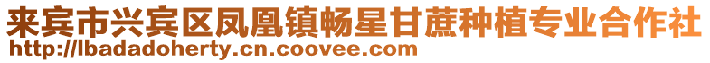 來賓市興賓區鳳凰鎮暢星甘蔗種植專業合作社