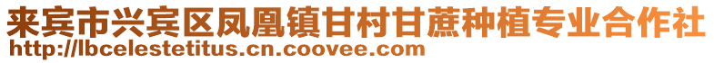來賓市興賓區鳳凰鎮甘村甘蔗種植專業合作社