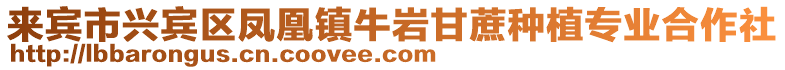 來(lái)賓市興賓區(qū)鳳凰鎮(zhèn)牛巖甘蔗種植專業(yè)合作社