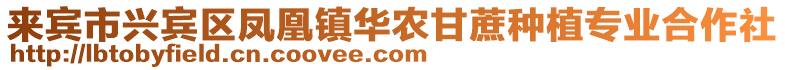 來賓市興賓區(qū)鳳凰鎮(zhèn)華農(nóng)甘蔗種植專業(yè)合作社