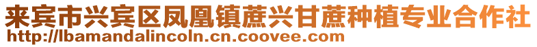 來賓市興賓區鳳凰鎮蔗興甘蔗種植專業合作社