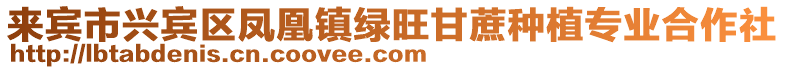 來賓市興賓區(qū)鳳凰鎮(zhèn)綠旺甘蔗種植專業(yè)合作社