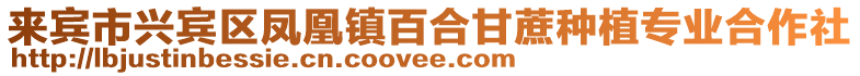 來賓市興賓區鳳凰鎮百合甘蔗種植專業合作社
