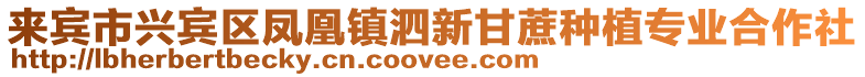 來賓市興賓區鳳凰鎮泗新甘蔗種植專業合作社