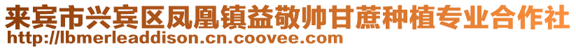 來賓市興賓區鳳凰鎮益敬帥甘蔗種植專業合作社