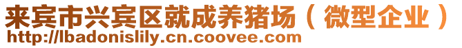 來賓市興賓區就成養豬場(微型企業)