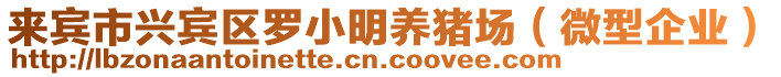 來賓市興賓區羅小明養豬場(微型企業)