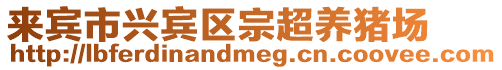 來賓市興賓區宗超養豬場