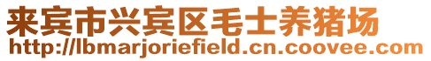 來賓市興賓區毛士養豬場