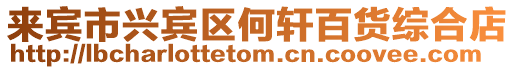 來賓市興賓區何軒百貨綜合店