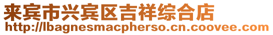 來賓市興賓區吉祥綜合店