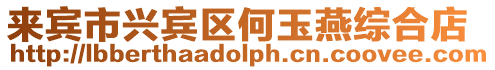 來賓市興賓區何玉燕綜合店