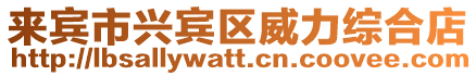 來賓市興賓區(qū)威力綜合店