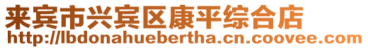 來賓市興賓區康平綜合店