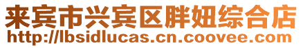 來賓市興賓區(qū)胖妞綜合店