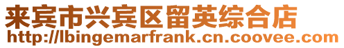 來賓市興賓區(qū)留英綜合店