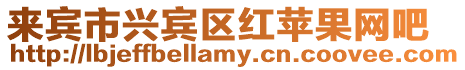 來(lái)賓市興賓區(qū)紅蘋(píng)果網(wǎng)吧
