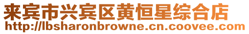 來賓市興賓區黃恒星綜合店