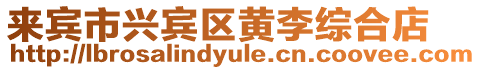 來賓市興賓區黃李綜合店