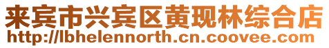 來(lái)賓市興賓區(qū)黃現(xiàn)林綜合店