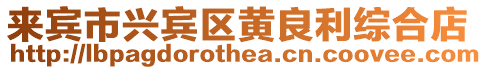 來賓市興賓區黃良利綜合店