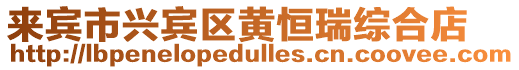 來賓市興賓區(qū)黃恒瑞綜合店