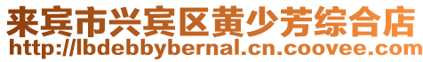 來賓市興賓區黃少芳綜合店