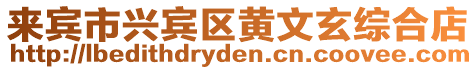 來(lái)賓市興賓區(qū)黃文玄綜合店