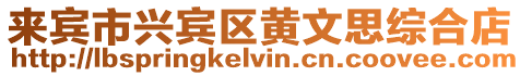來賓市興賓區(qū)黃文思綜合店