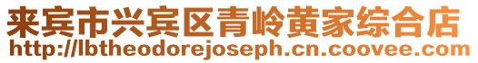 來賓市興賓區青嶺黃家綜合店