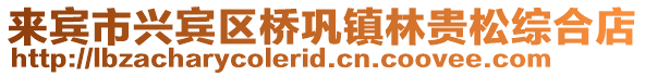 來賓市興賓區(qū)橋鞏鎮(zhèn)林貴松綜合店