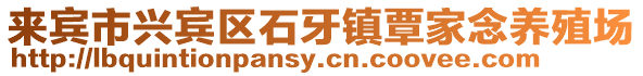 來賓市興賓區石牙鎮覃家念養殖場