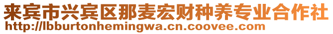 來賓市興賓區那麥宏財種養專業合作社