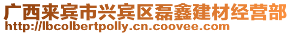 廣西來賓市興賓區(qū)磊鑫建材經(jīng)營(yíng)部